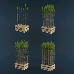 Tree Sapling Pack