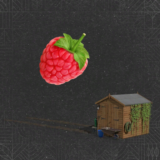 Raspberry Productions