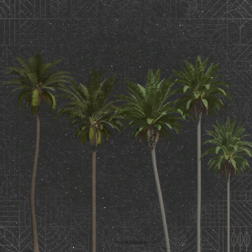 Lapacho Palms