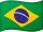 Brazil flag