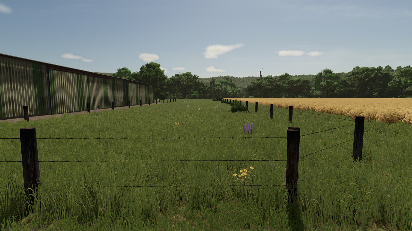 Cow Fences