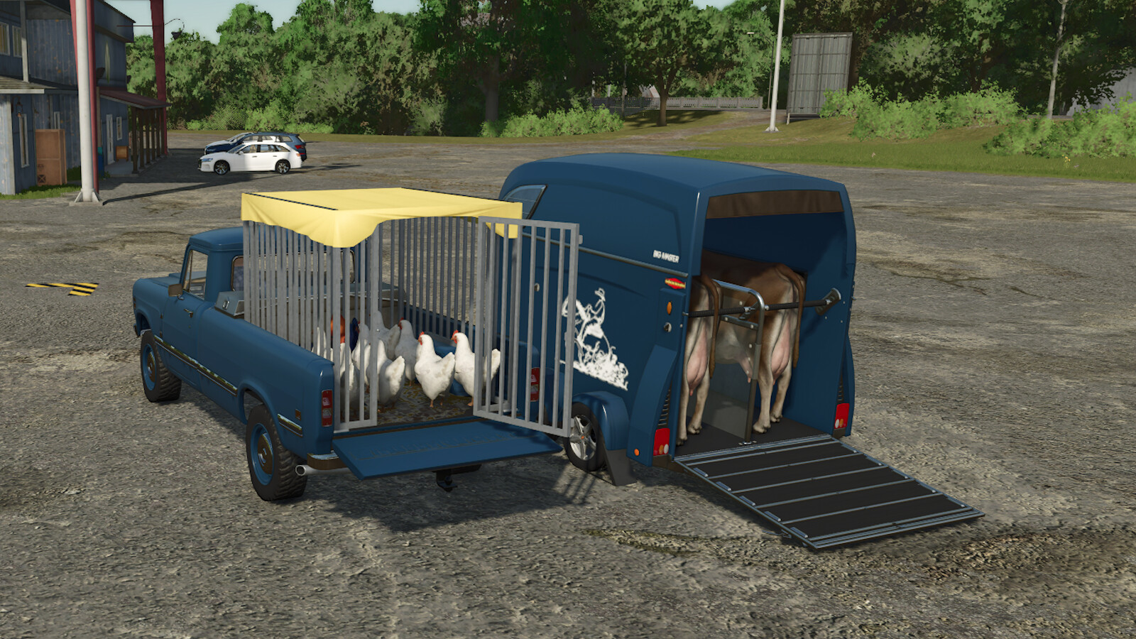 Animal Transports