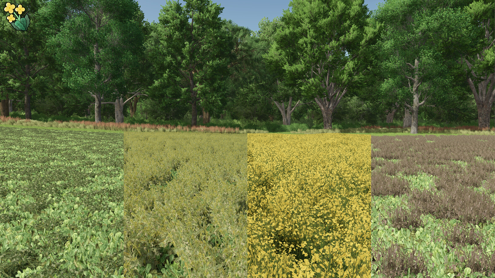 MultiFruits Pack (Prefab*)