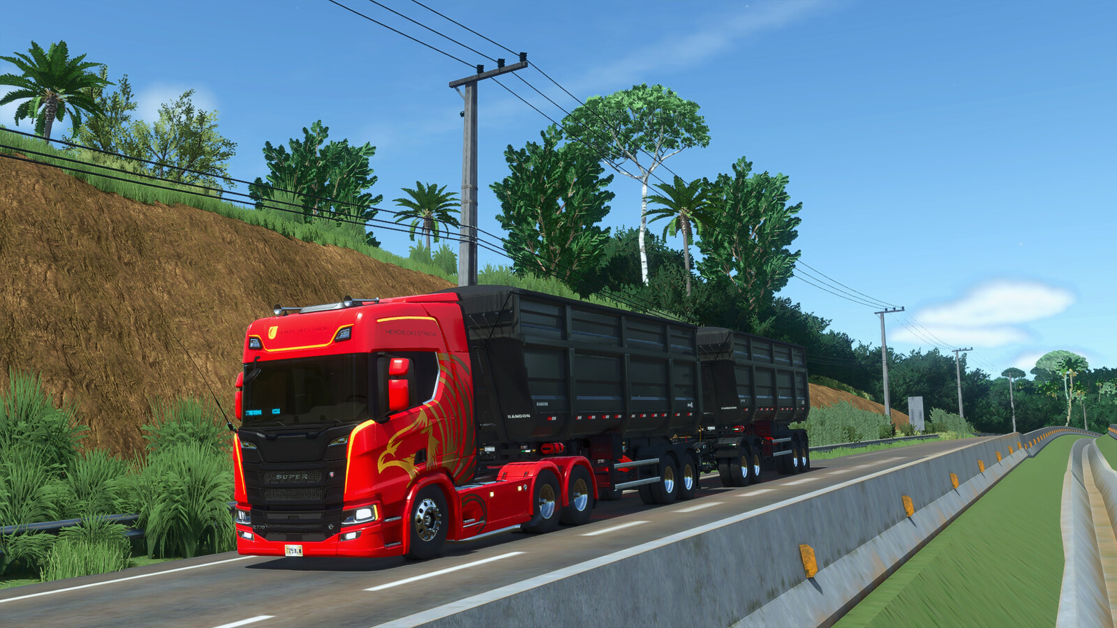 Lizard NTG South America