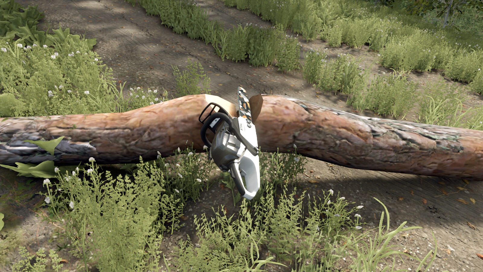 STIHL MS 261 C-M Pack