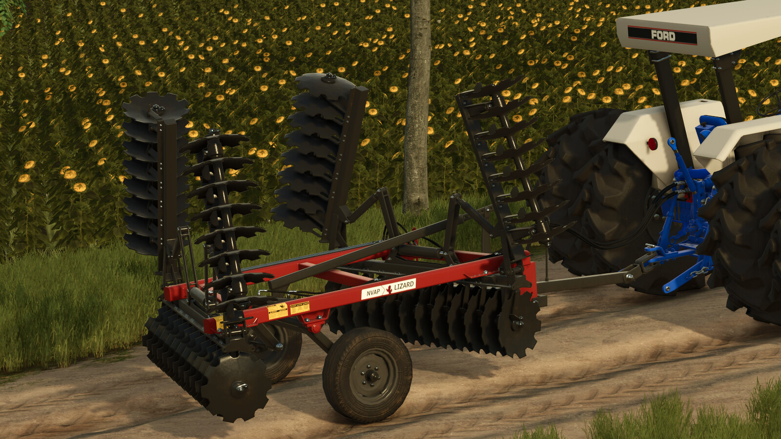 Lizard NVAM And NVAP