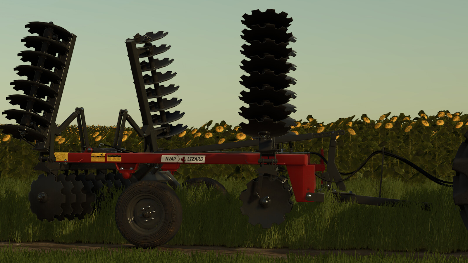 Lizard NVAM And NVAP