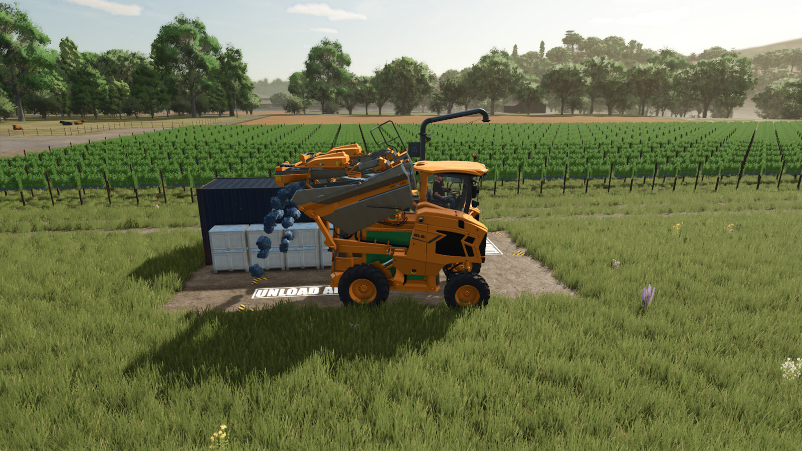 Grape And Olive Storages