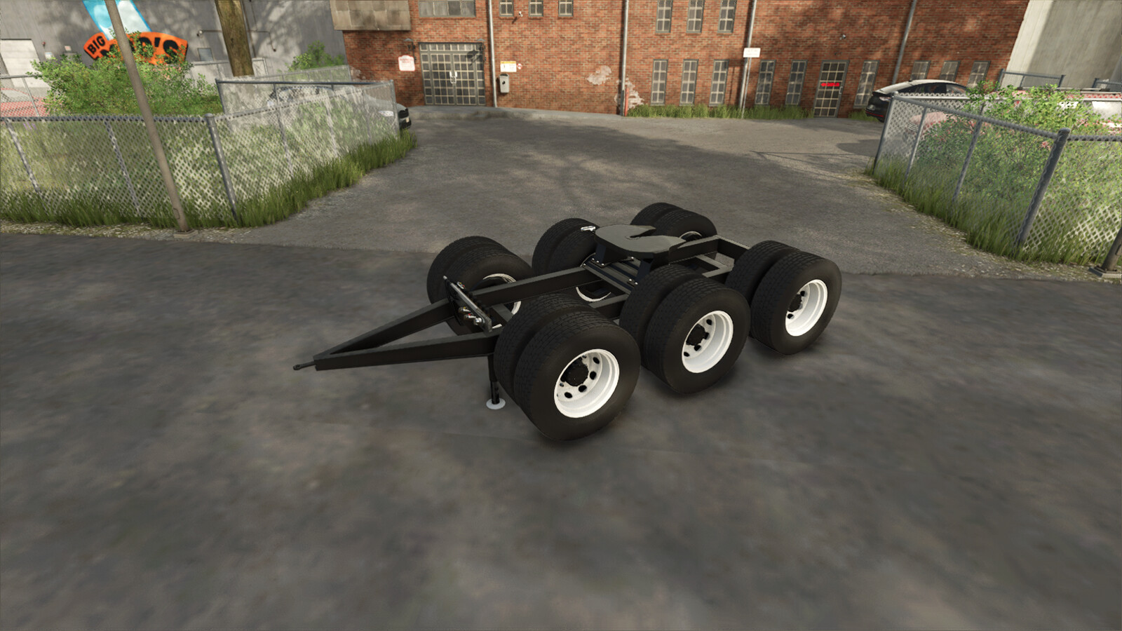 Lizard Old Dolly 1993