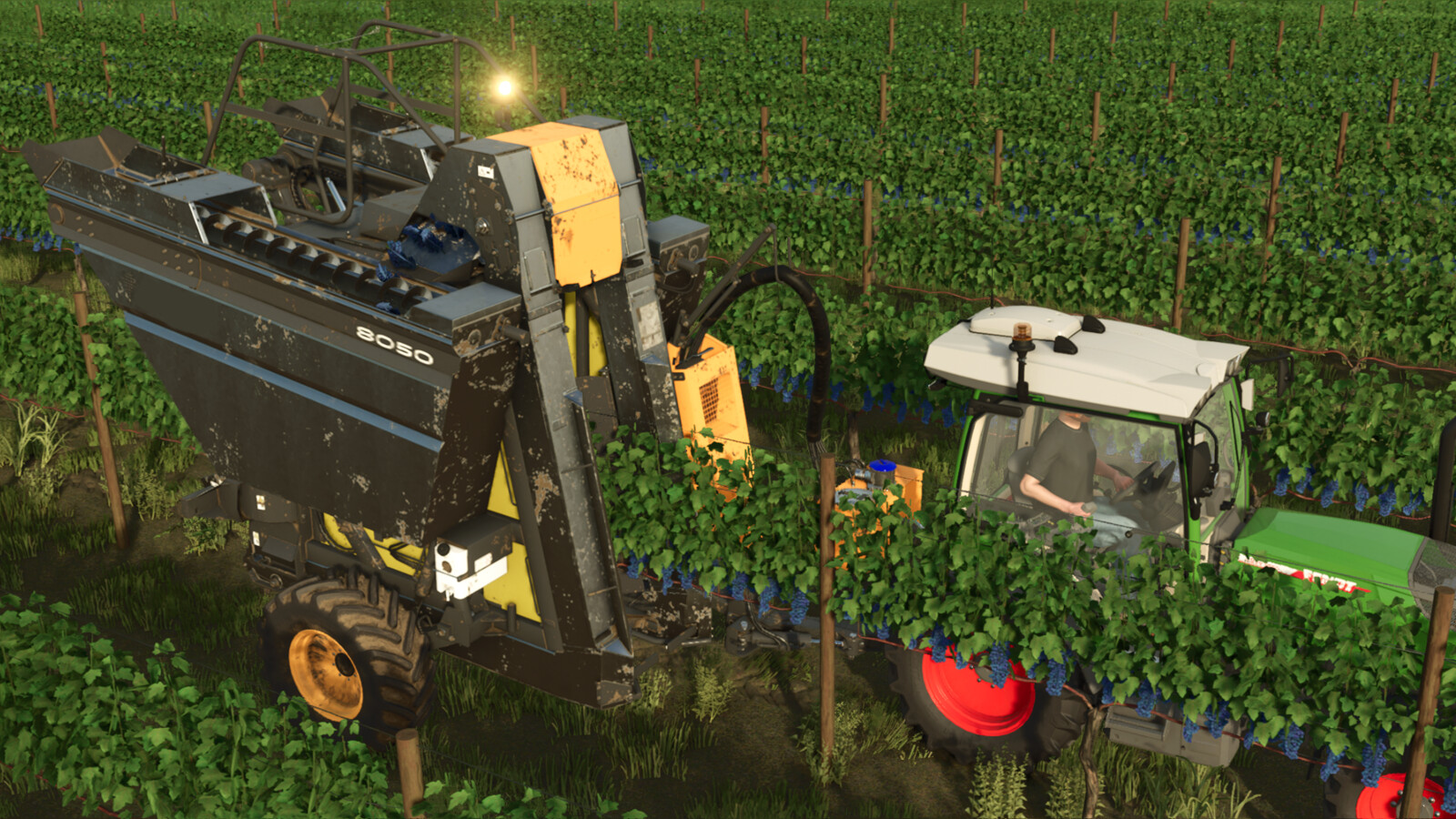 Lizard Grapeharvester 8050