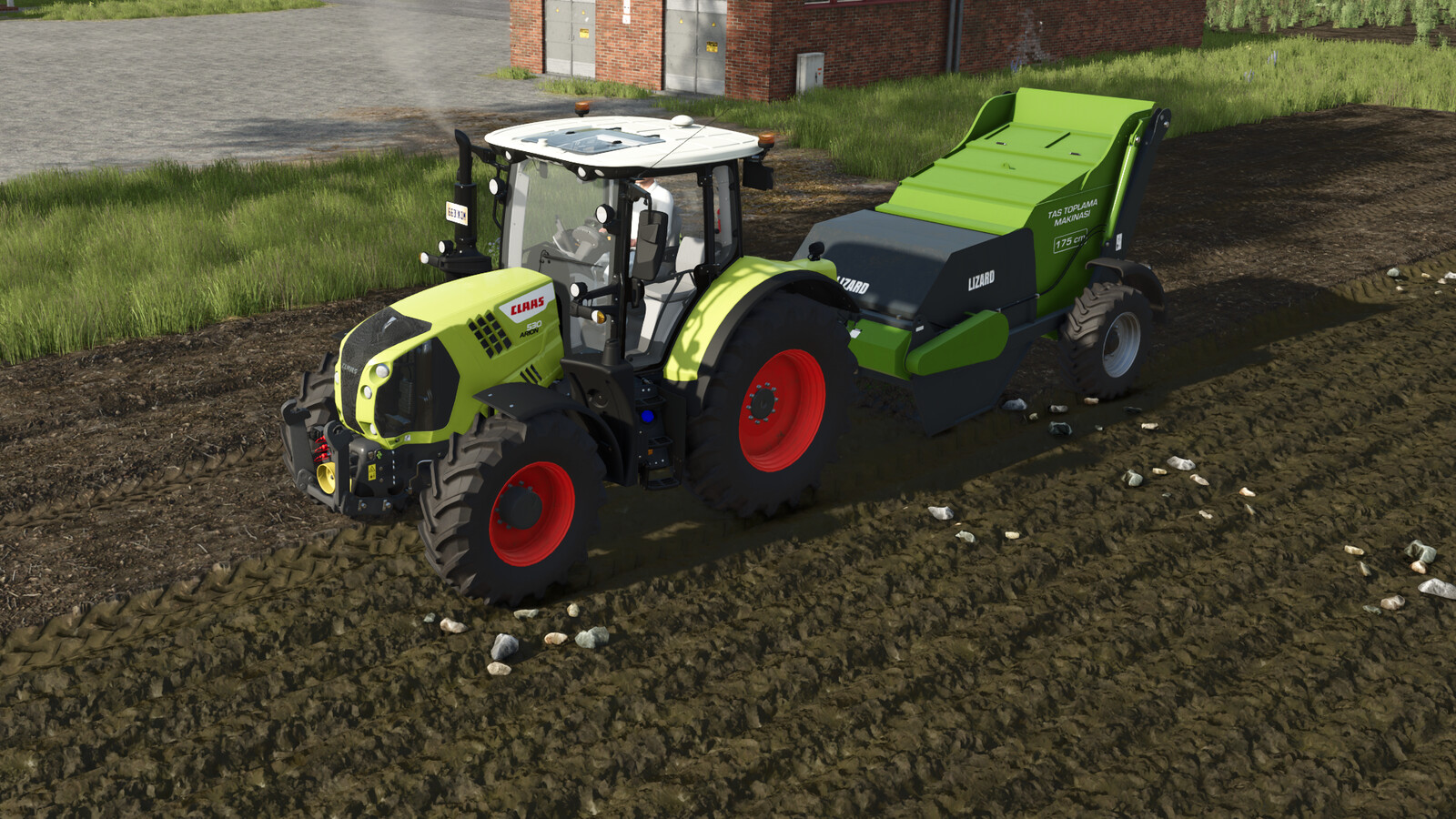 Lizard Ozn Stone Collector