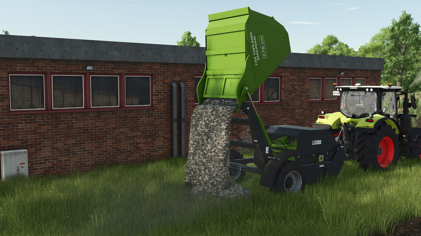 Lizard Ozn Stone Collector