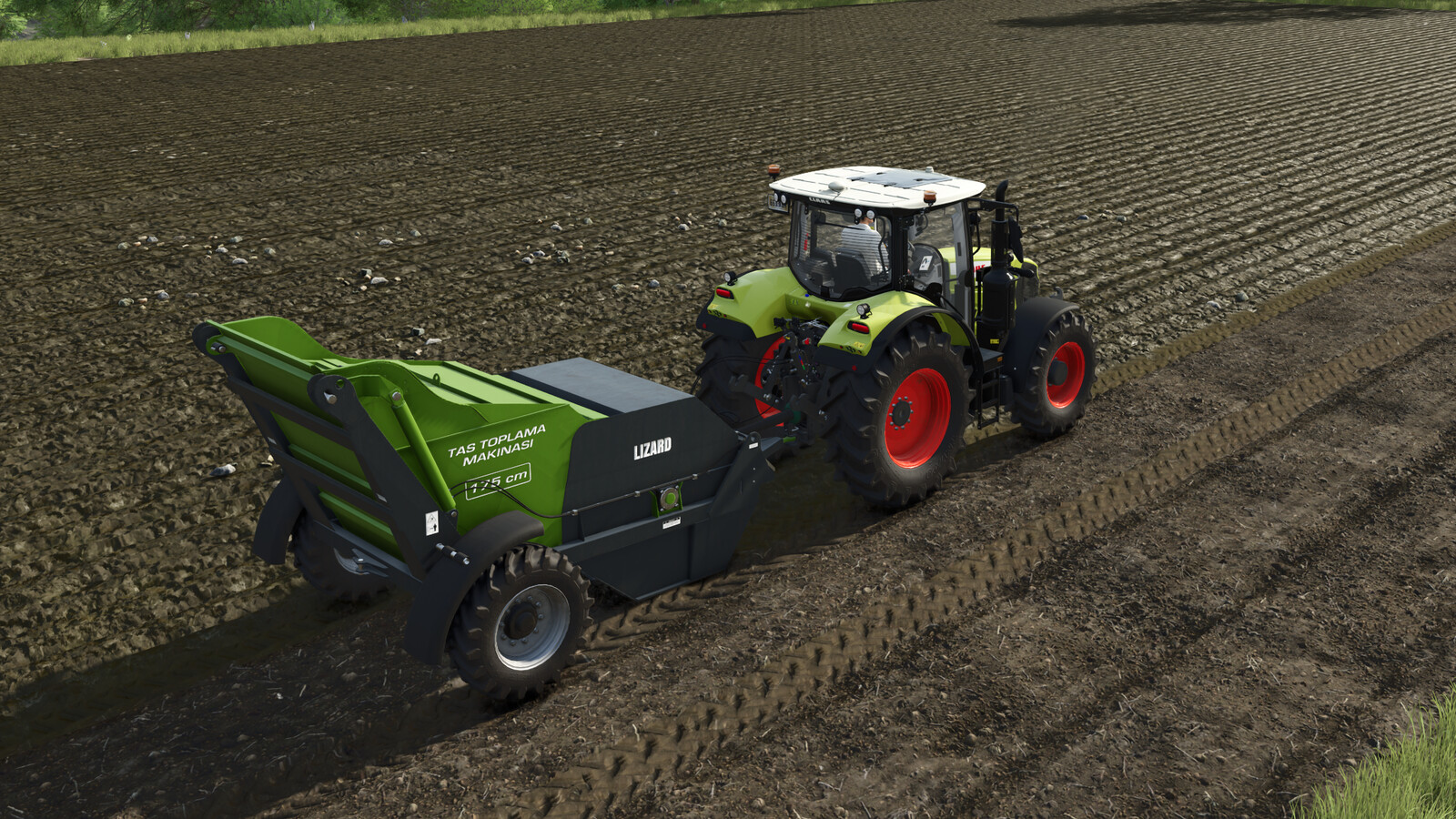 Lizard Ozn Stone Collector