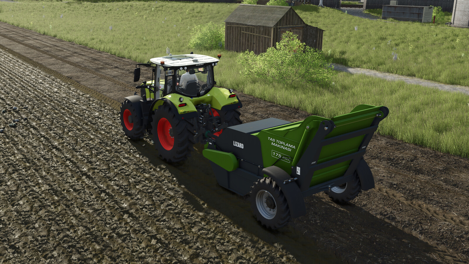 Lizard Ozn Stone Collector