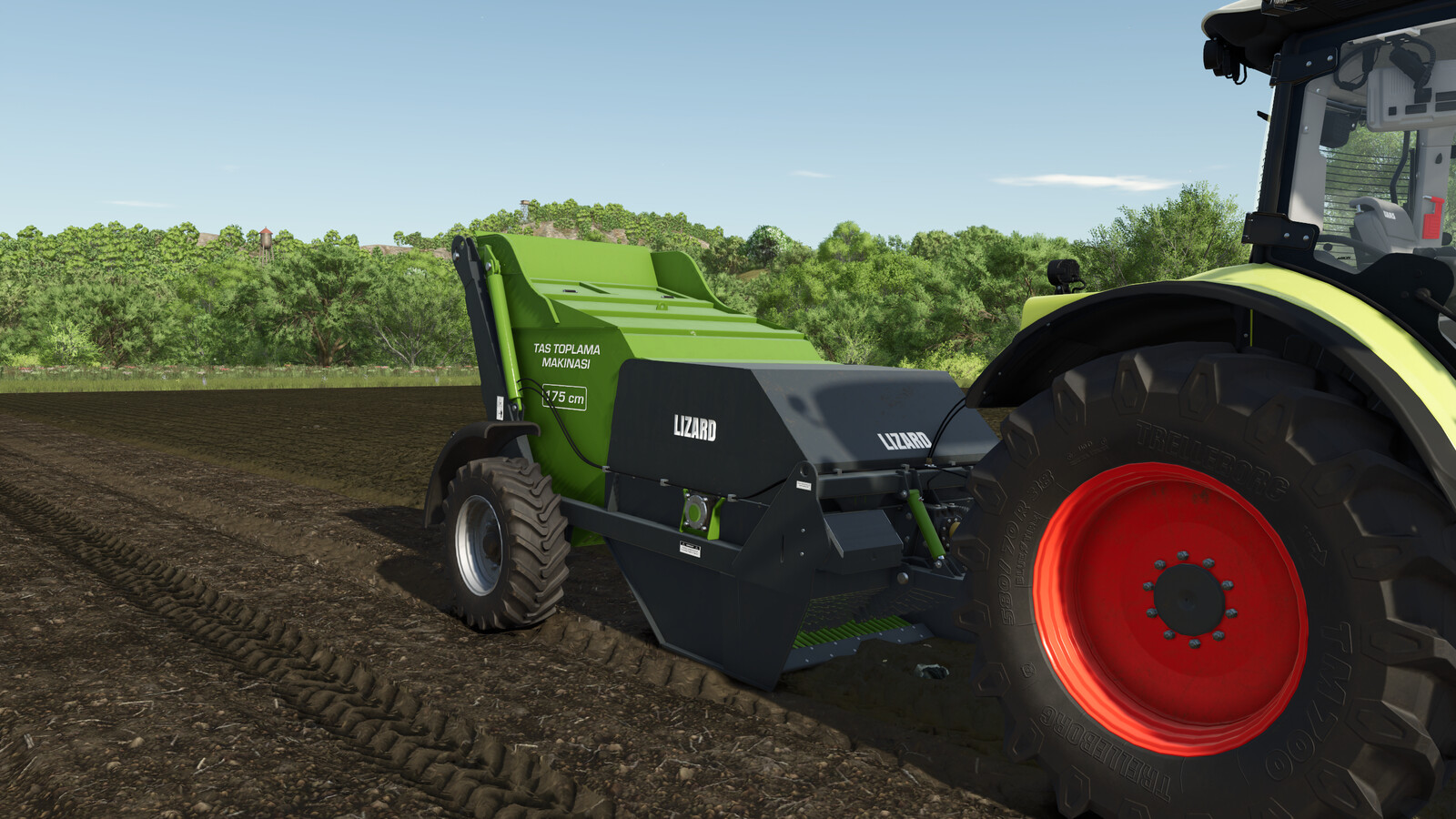 Lizard Ozn Stone Collector