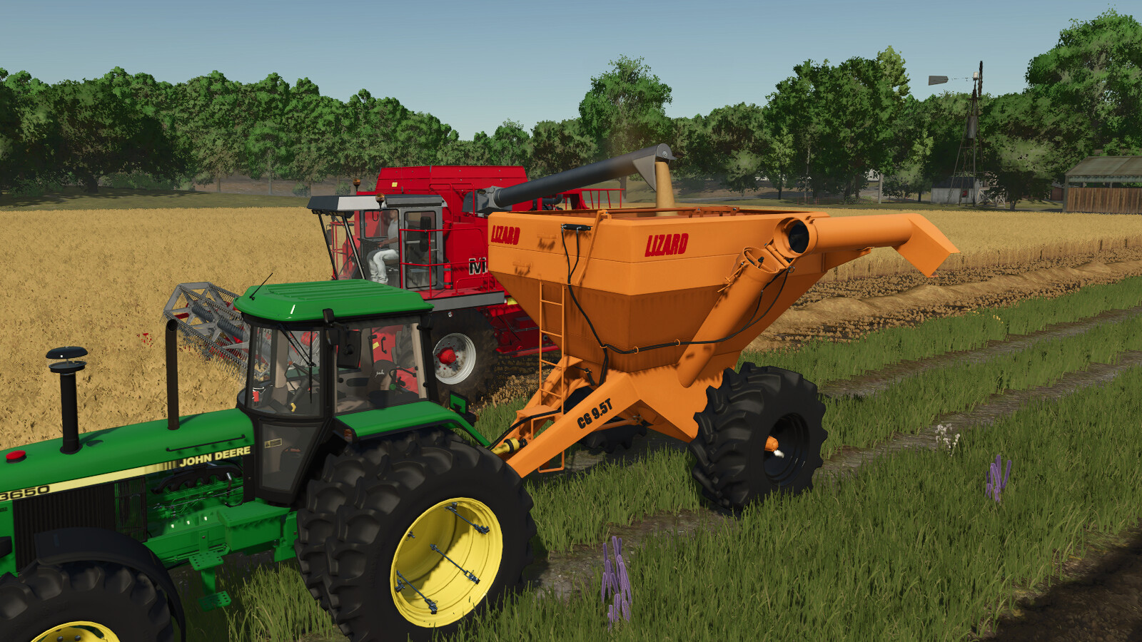 Lizard CG Granel Pack