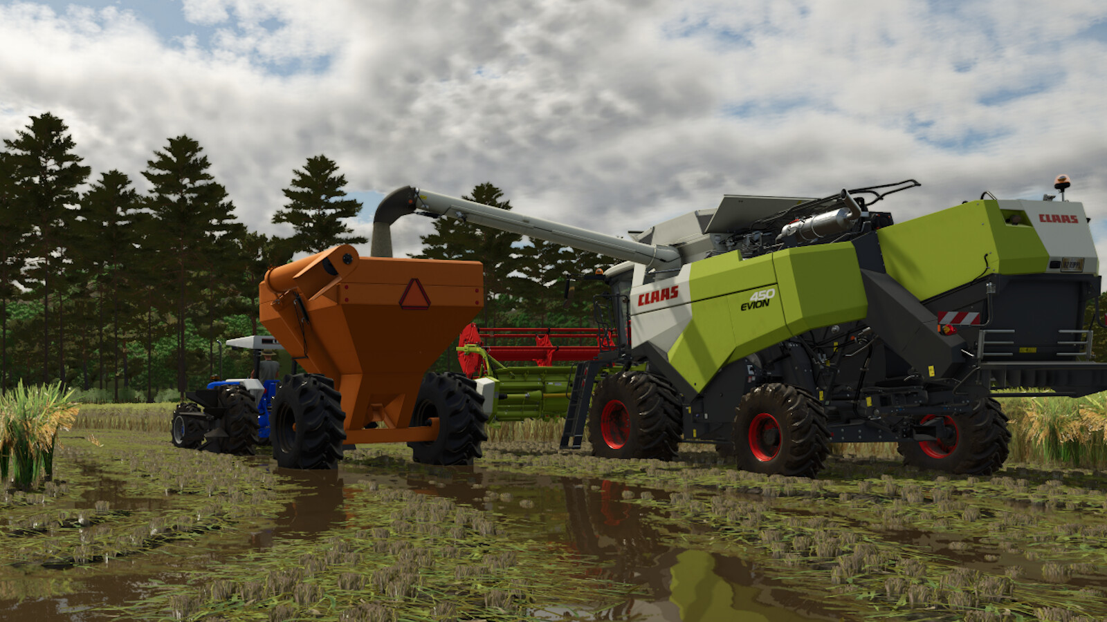 Lizard CG Granel Pack