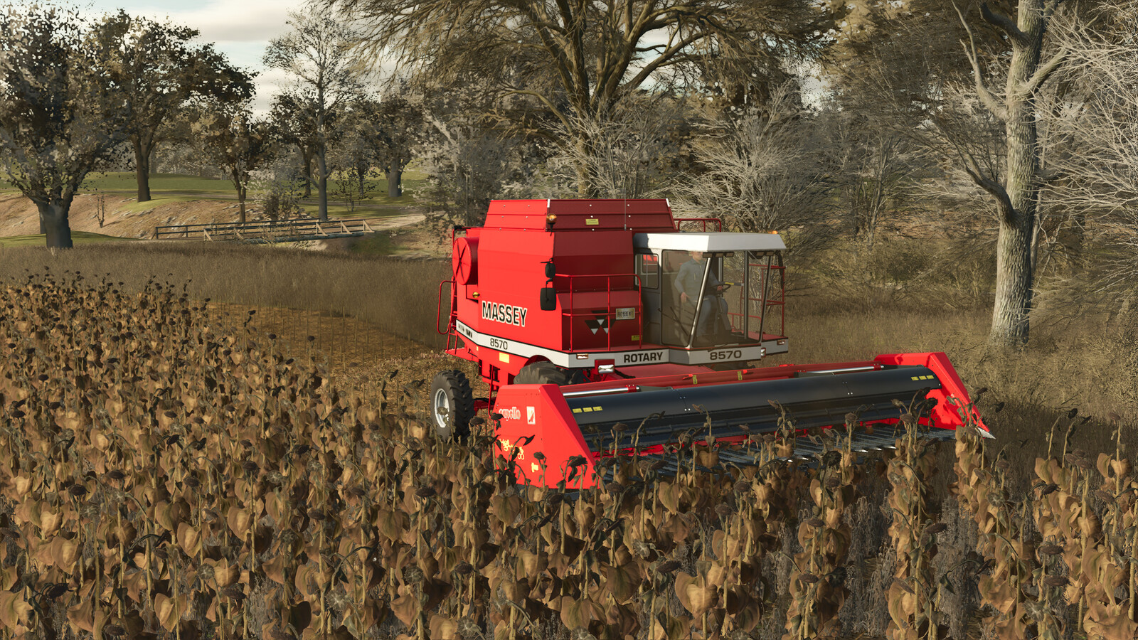 Capello Helianthus Pack