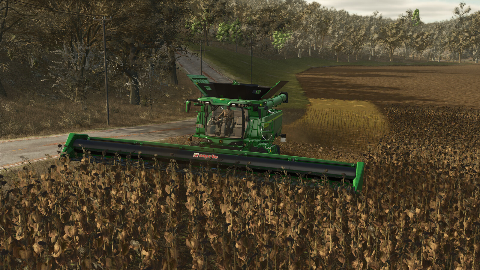 Capello Helianthus Pack