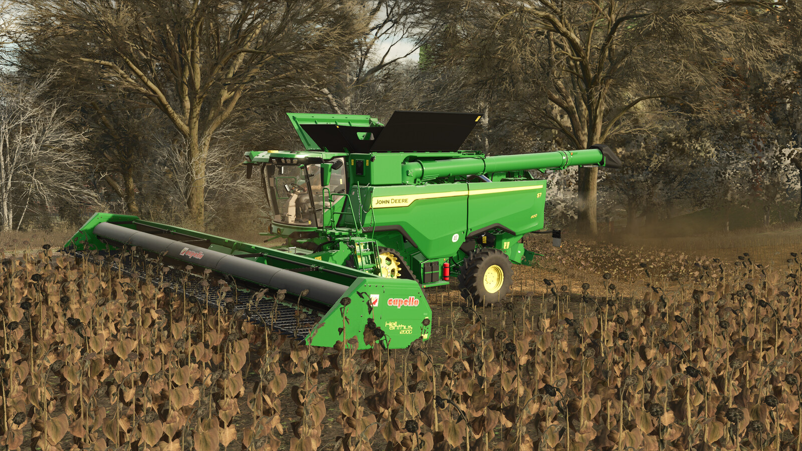 Capello Helianthus Pack