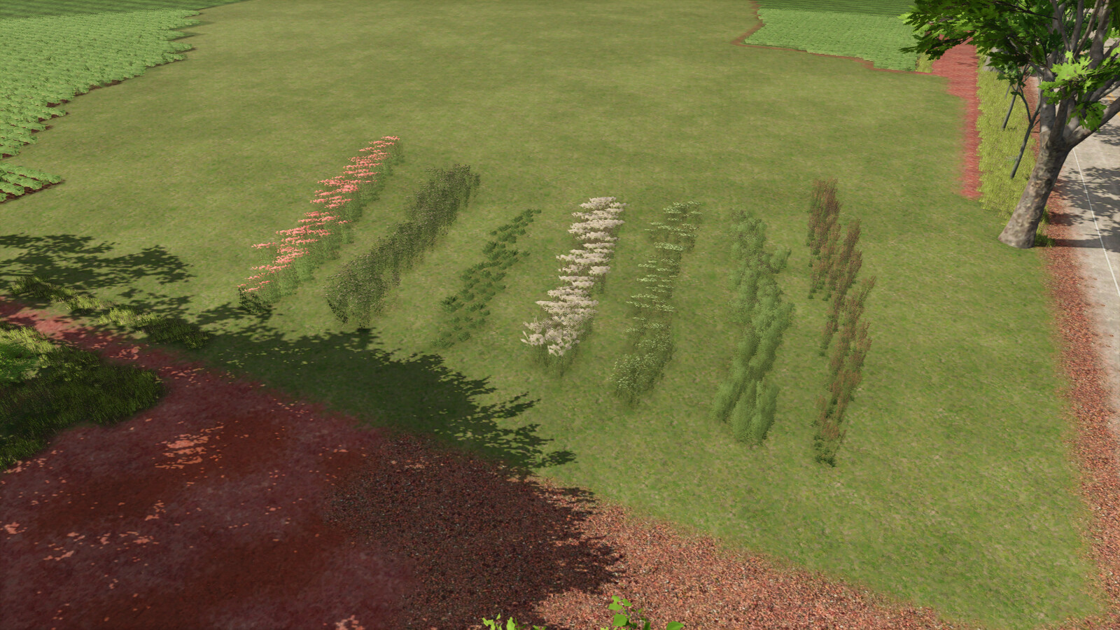 Plant Decoration Pack