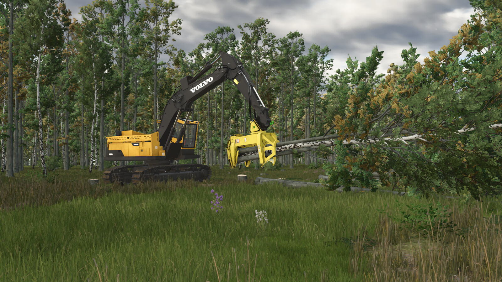 John Deere - FD 55 Fellerbuncher Head