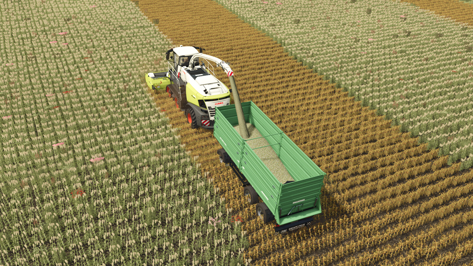 Additional-Contracts