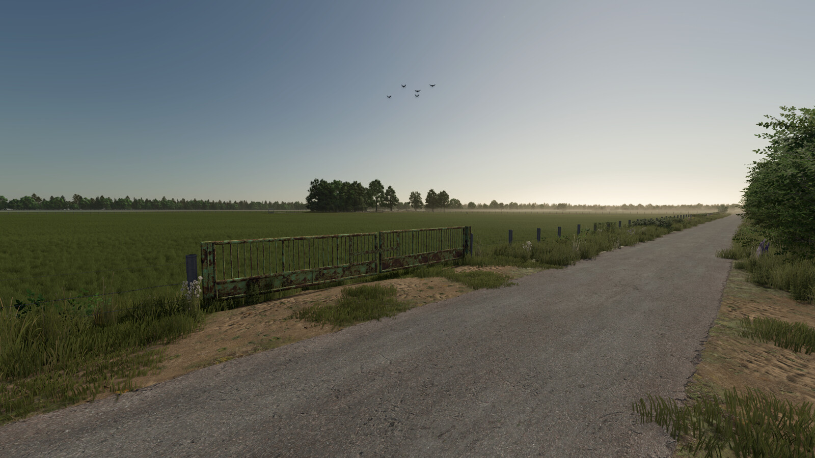 Old Wire Mesh And Pasture Fences