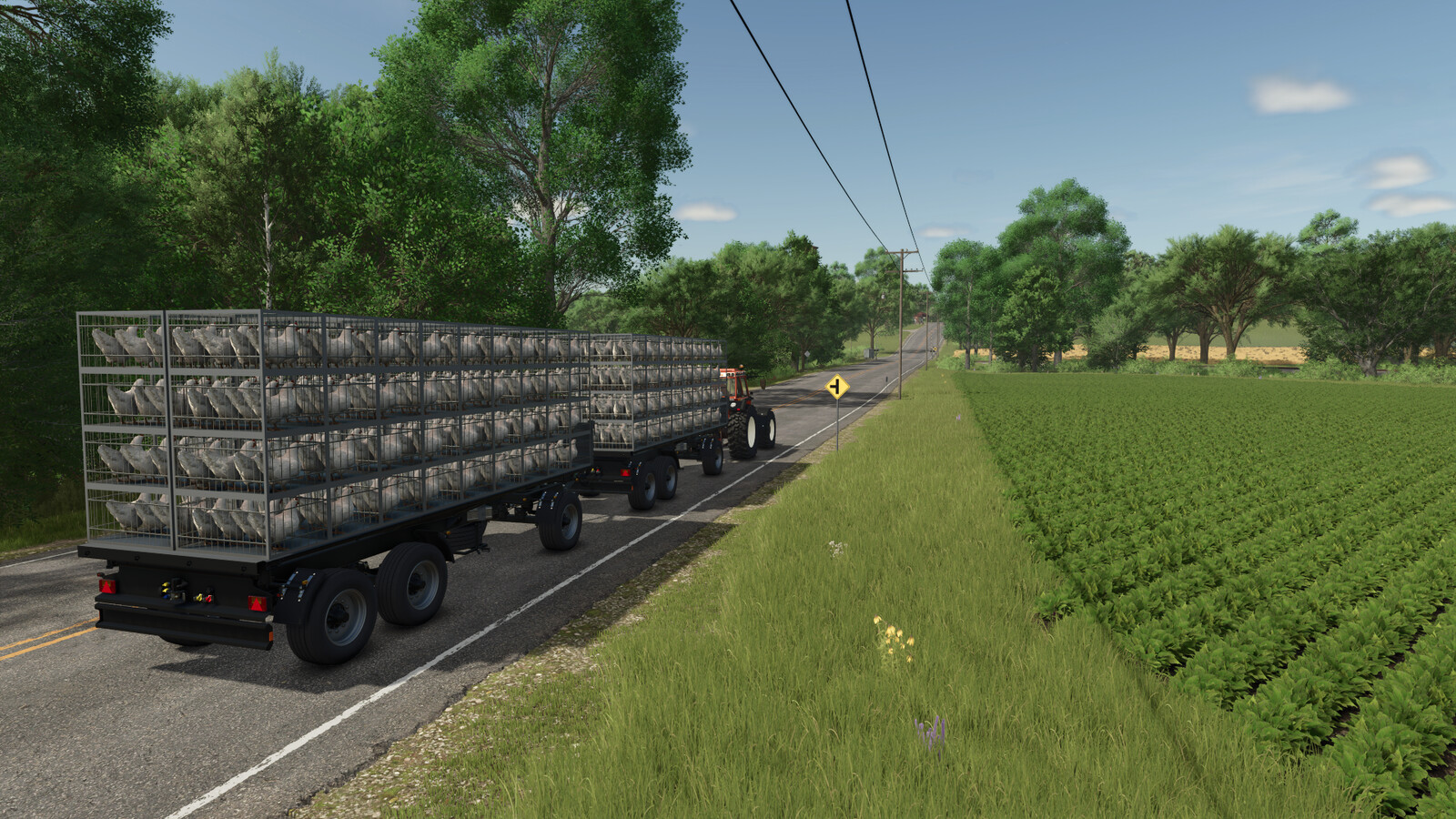 Chicken Transport Trailer Pack
