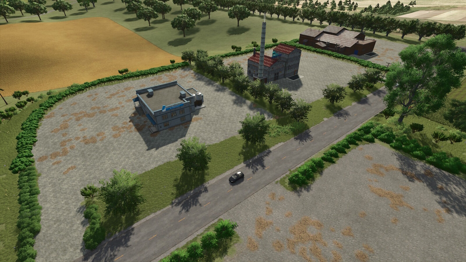 Angela Whispering Hollow