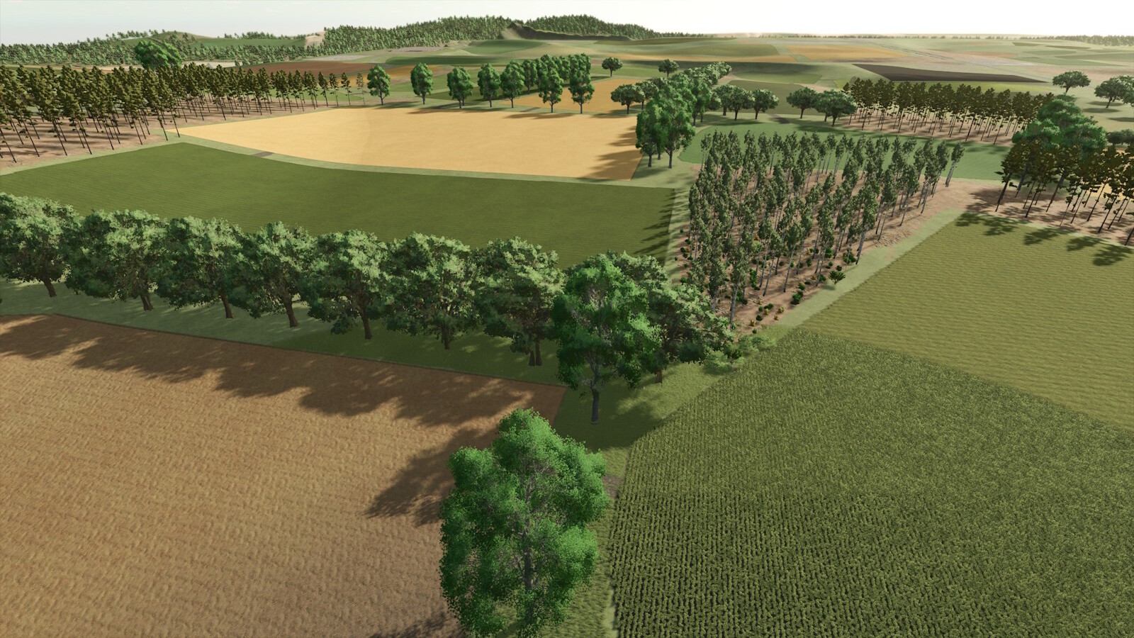 Angela Whispering Hollow