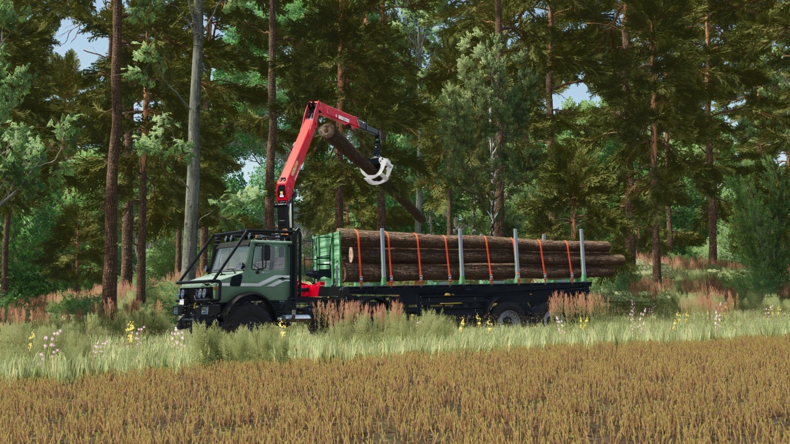 Brantner DD24073/2 XXL Pack