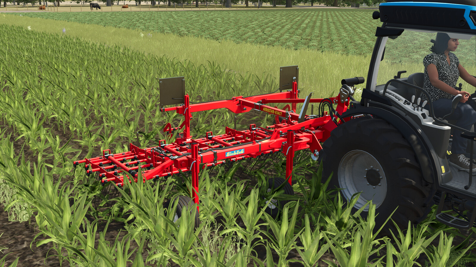 Einboeck Aerostar-Exact 600