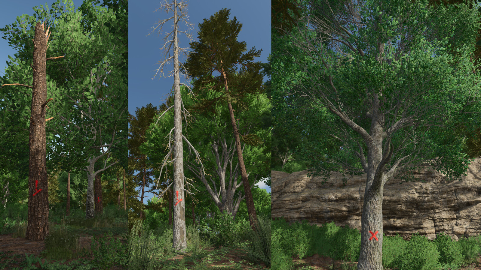 Advanced Deadwood Missions