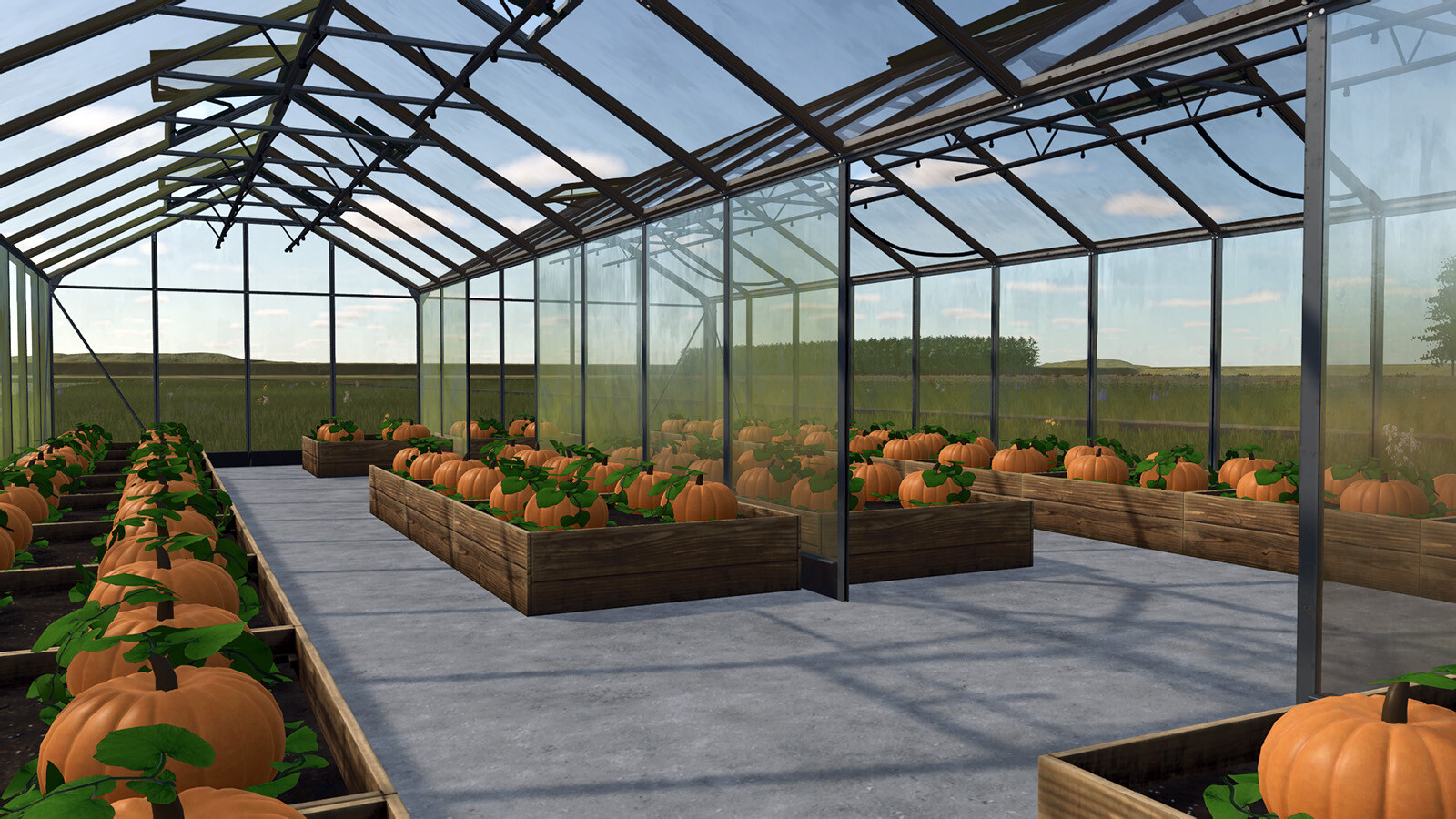 Pumpkin Melon Watermelon Greenhouses