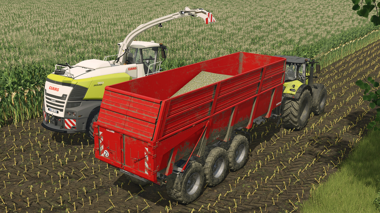 Lizard BB18B And BB24TRD