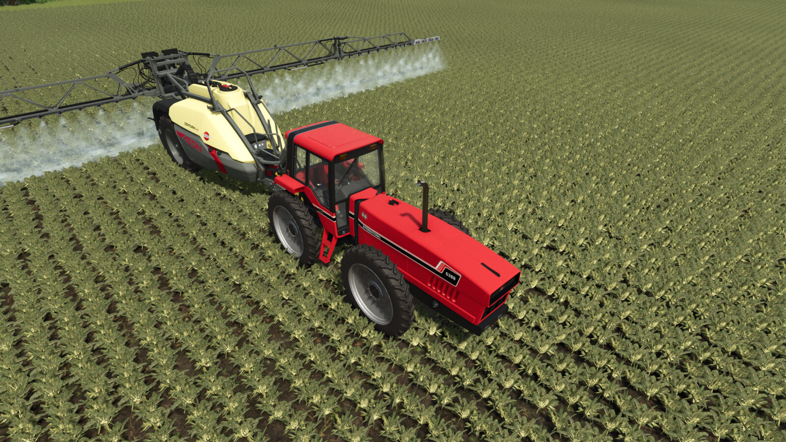 International 2+2 Series