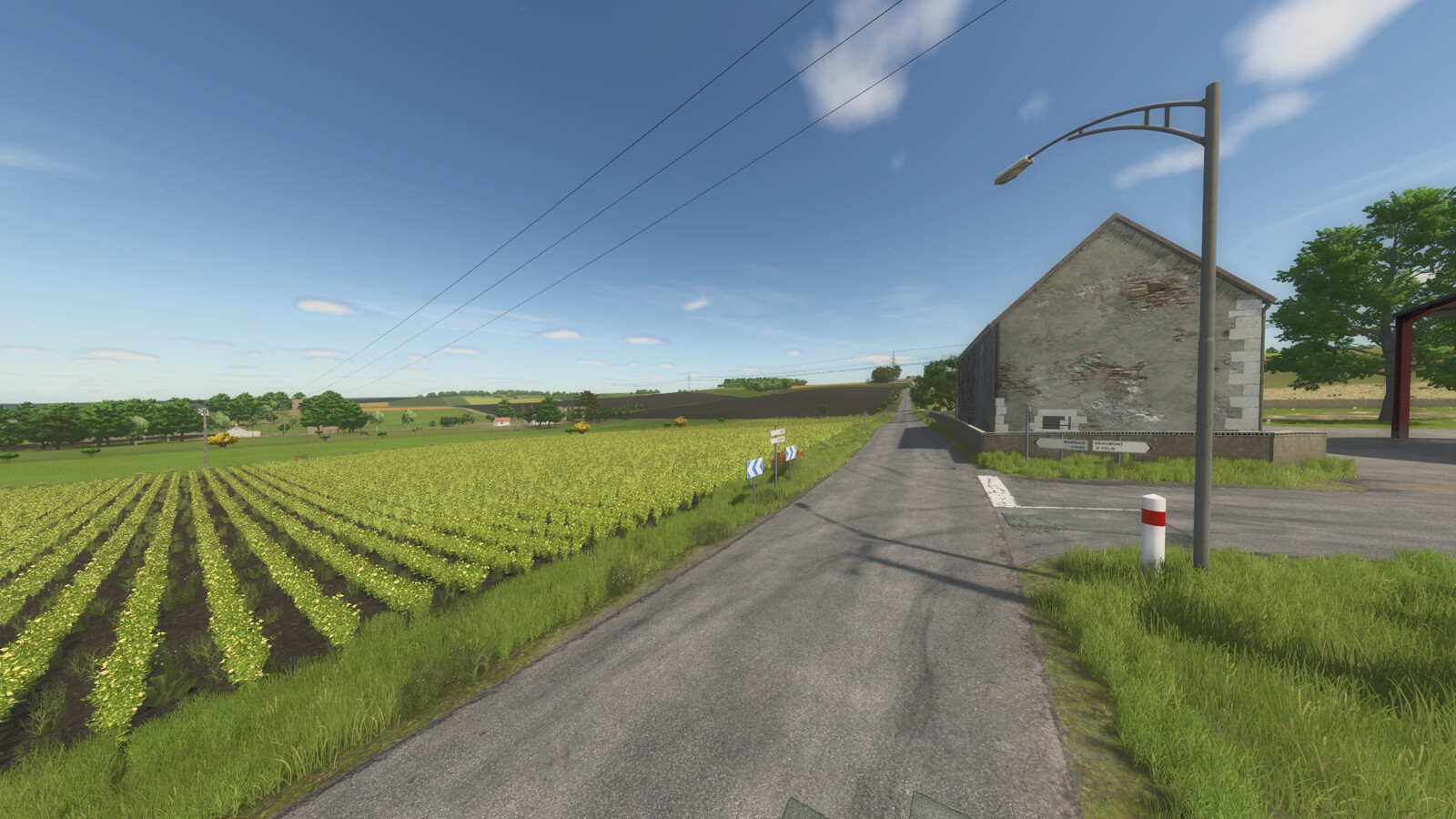 Des Cagouilles Dans L