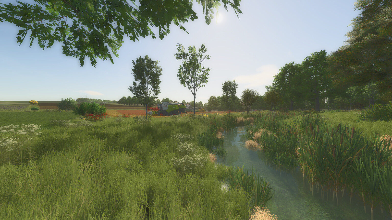 Des Cagouilles Dans L