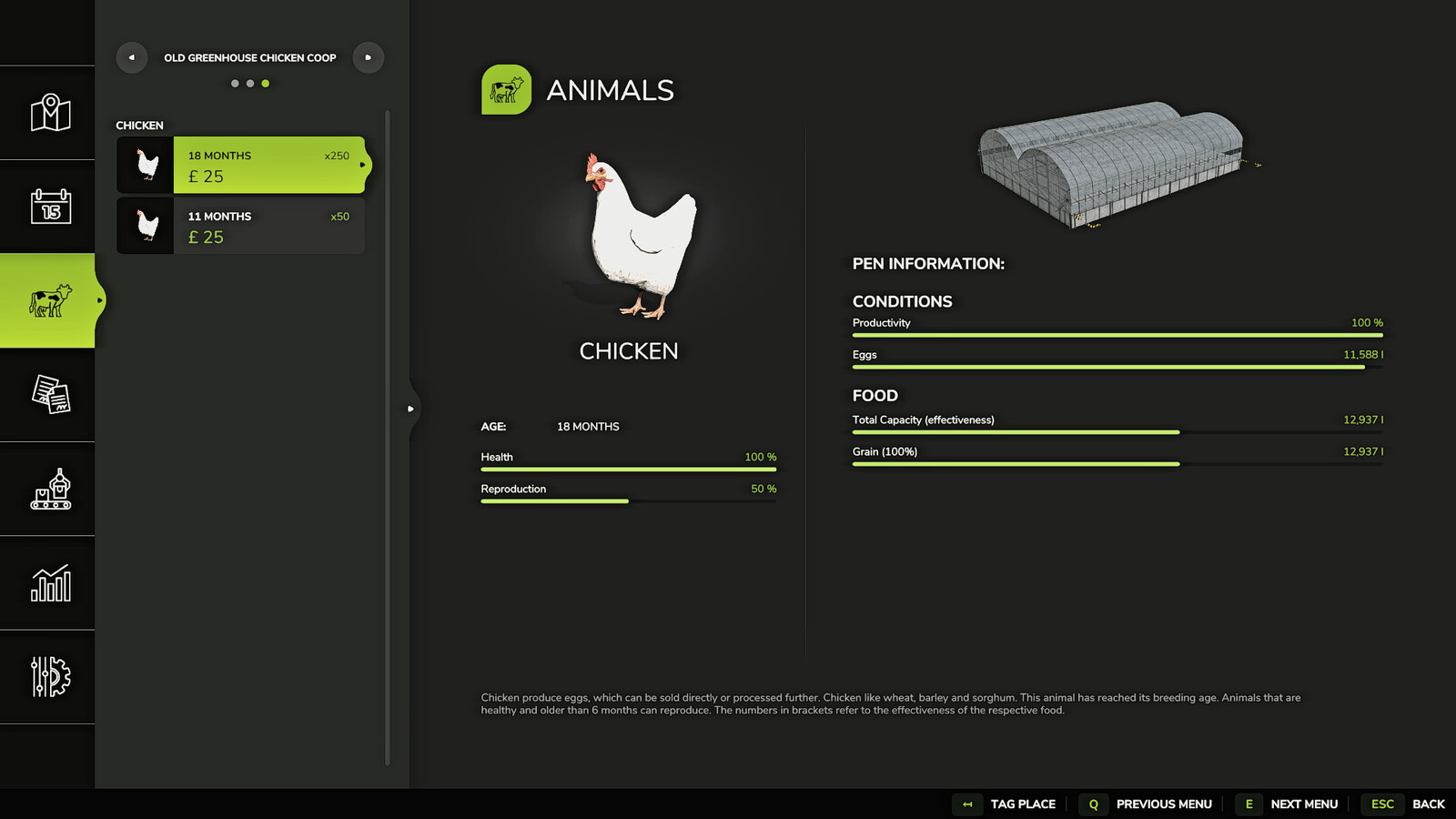 Old Greenhouse Chicken Coop