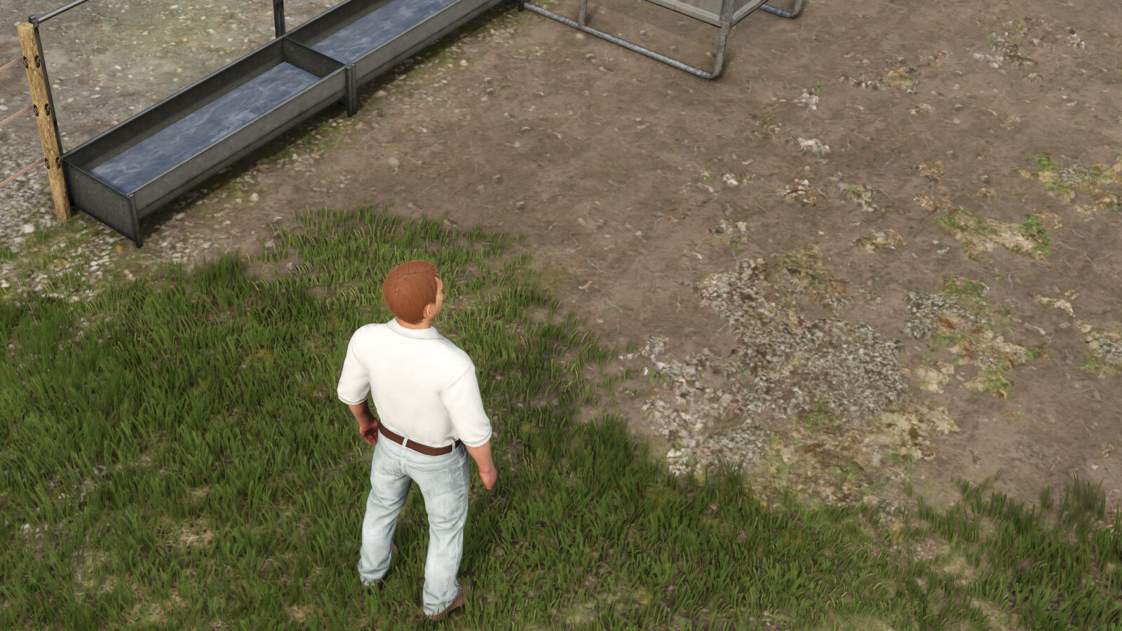 Automatic Drinking Trough