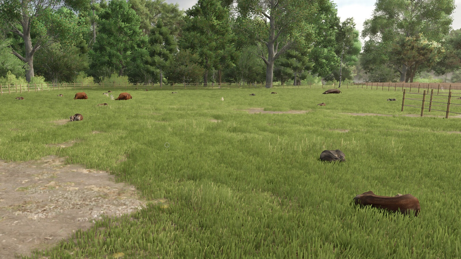 Automatic Drinking Trough