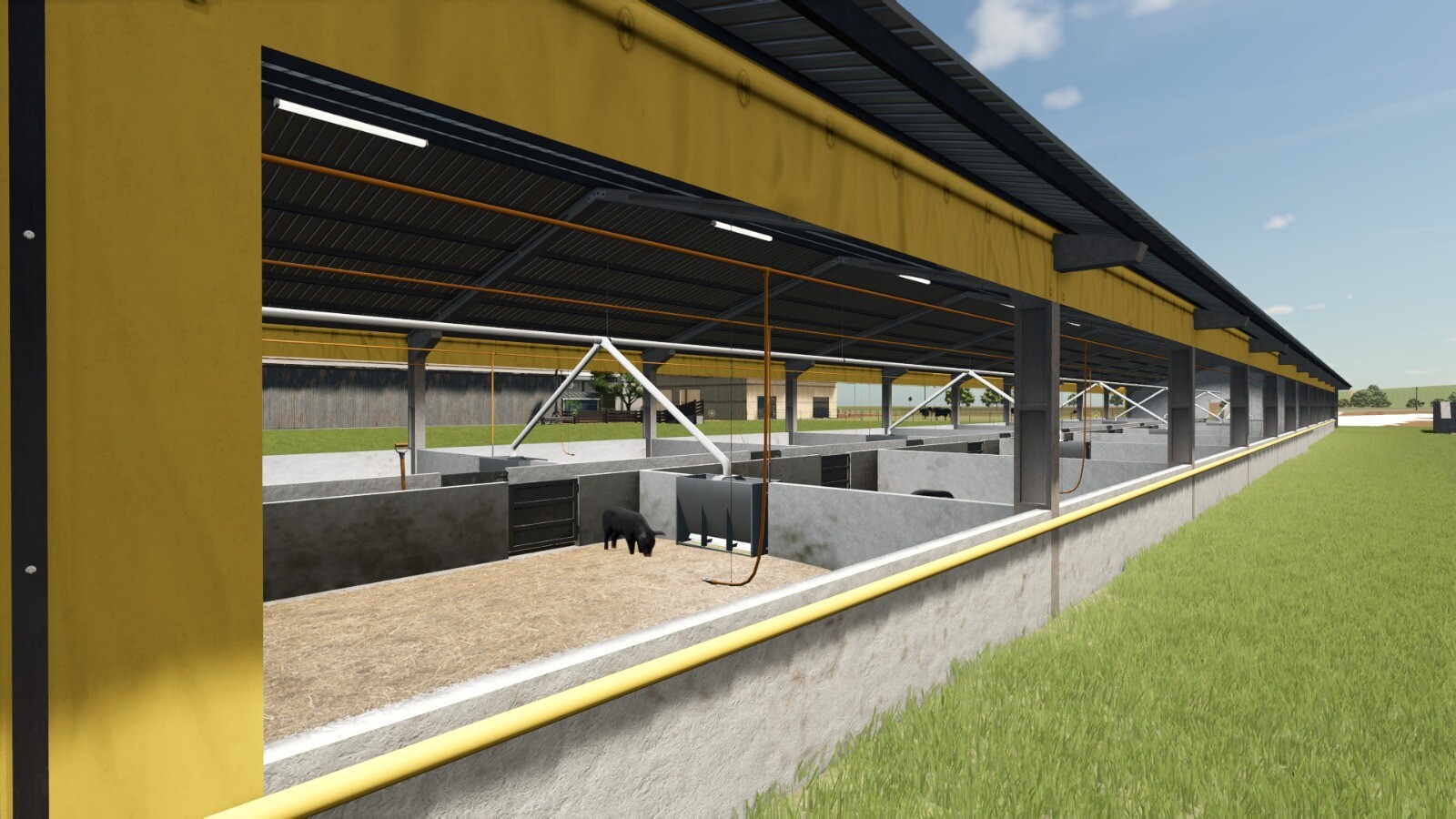 Pigsty And Manure Heap