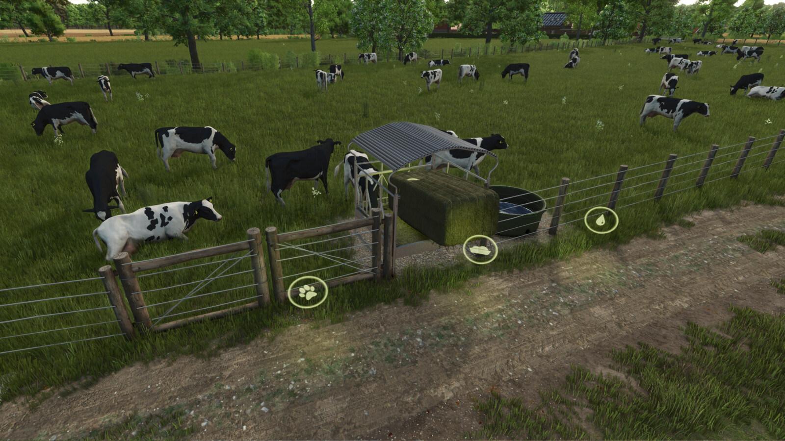 Simple Cow Pasture