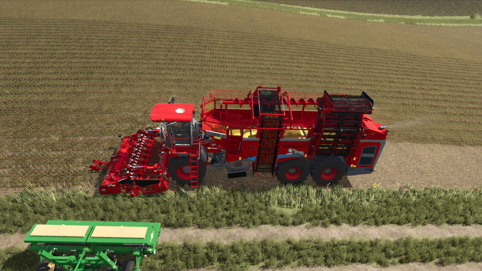 ROPA Tiger6S Cotton Edition