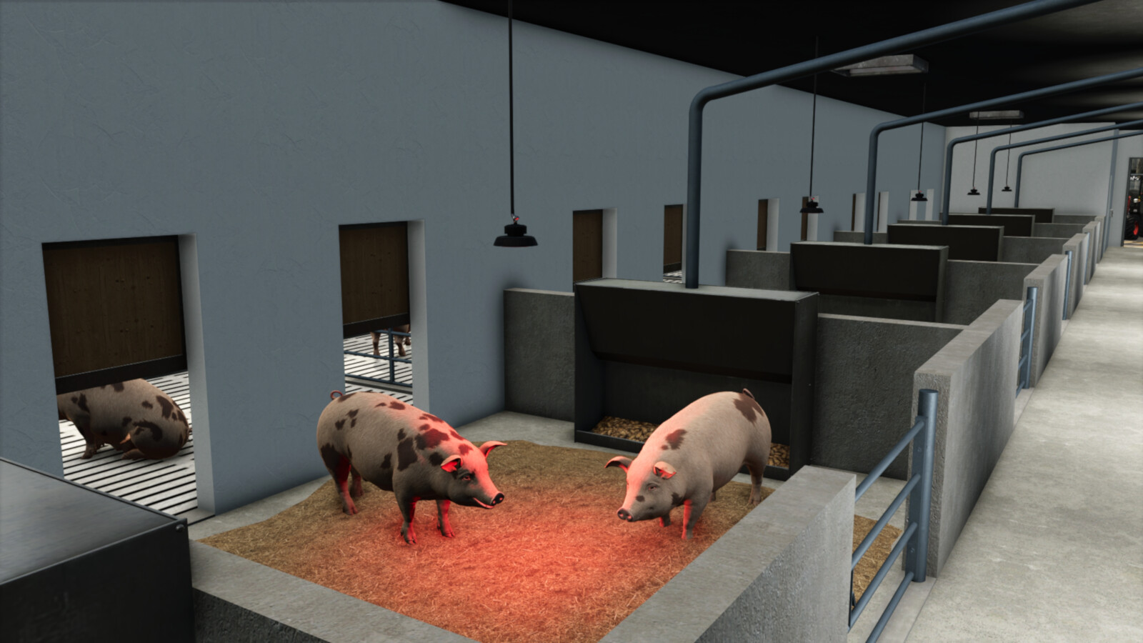 Modern Pigsty
