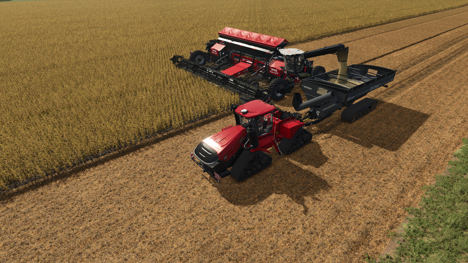 True AI Tracks: NEXAT