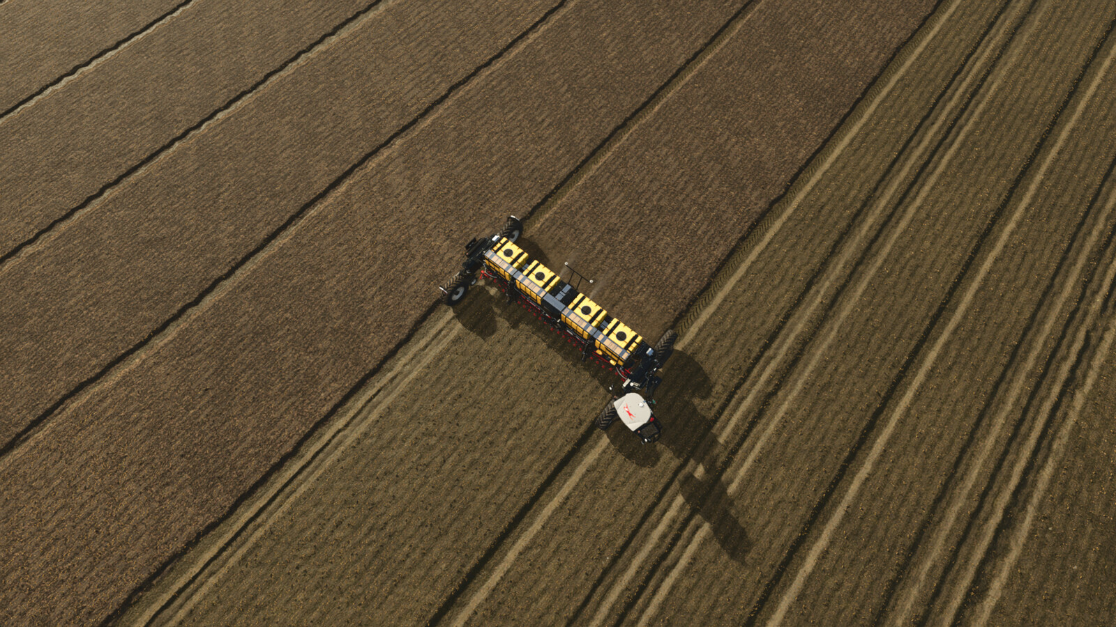 True AI Tracks: NEXAT