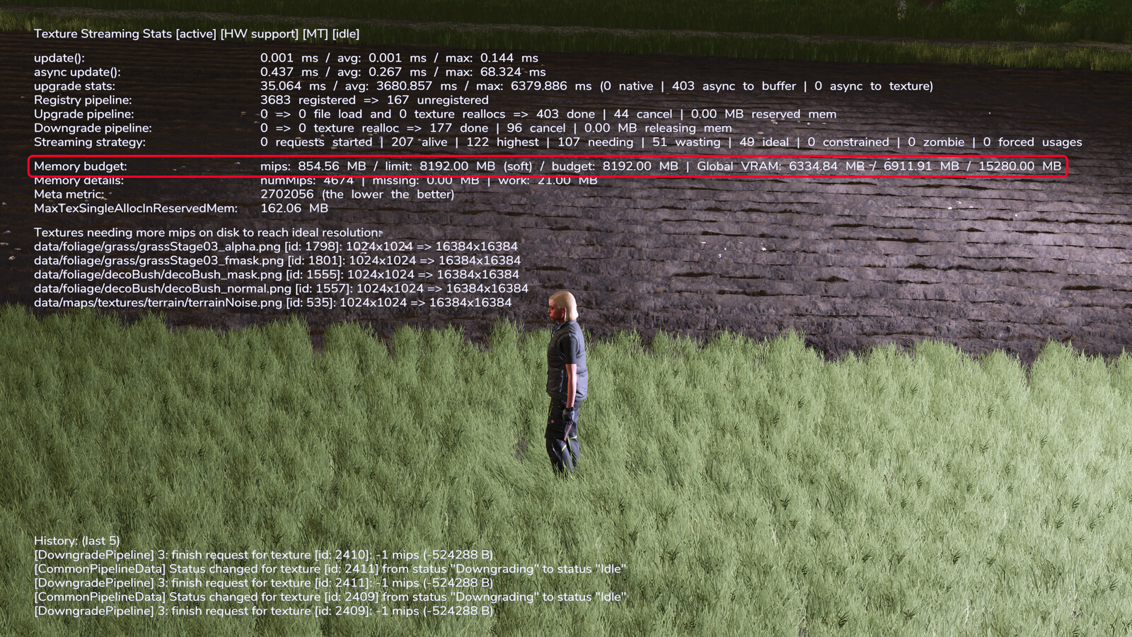 Texture Streaming Budget Increase