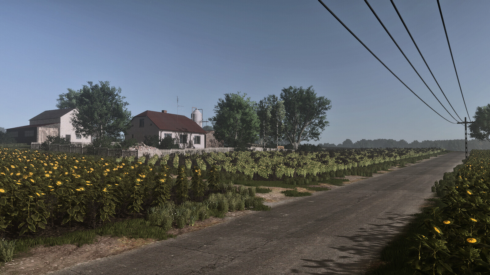 Lipka Wielka Crossplay